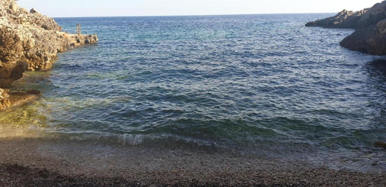 דירות אורביץ Adriatic מראה חיצוני תמונה