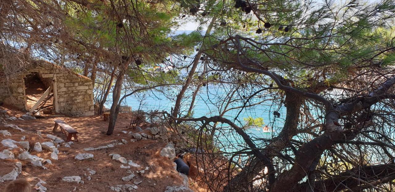 דירות אורביץ Adriatic מראה חיצוני תמונה
